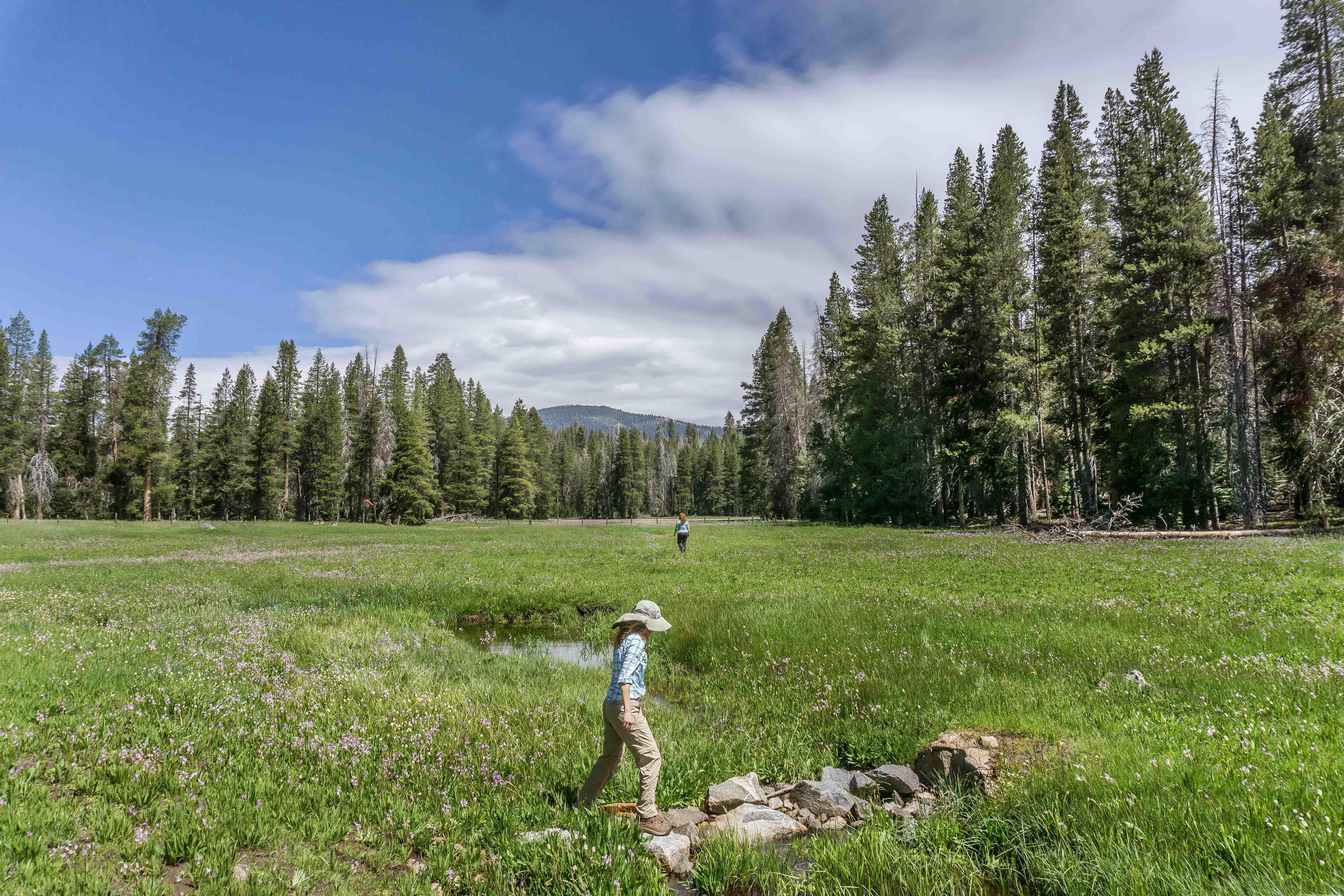 Holiday Inn Express & Suites Oakhurst-Yosemite Park Area By Ihg Zewnętrze zdjęcie